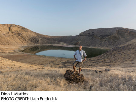 Photo of Dino Martins