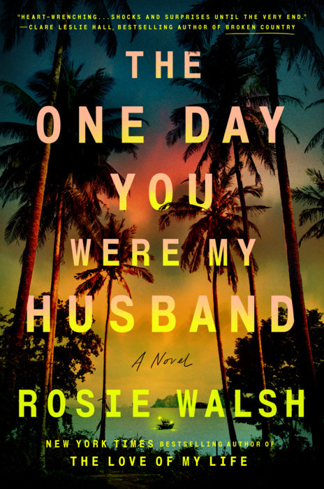 The One Day You Were My Husband cover