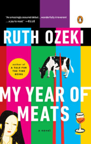 the book of form and emptiness ruth ozeki