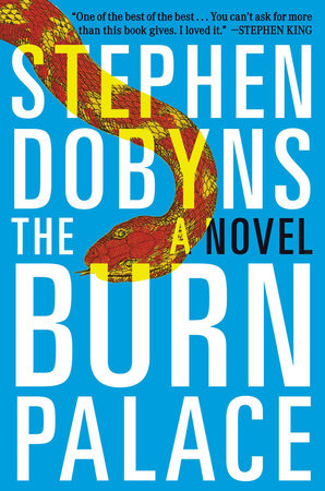 The Burn Palace by Stephen Dobyns