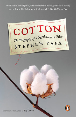 Cotton by Stephen Yafa