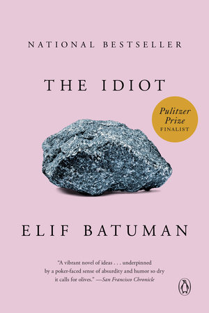 The Idiot Book Cover Picture