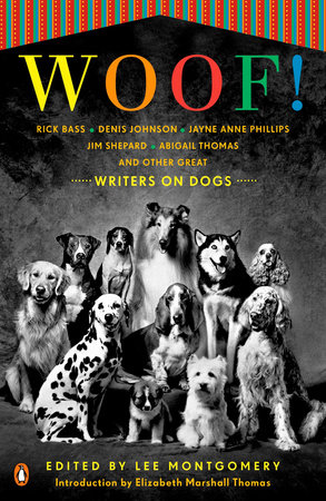 Woof! by 