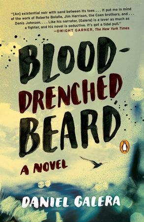 Blood-Drenched Beard by Daniel Galera
