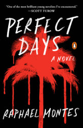 Perfect Days