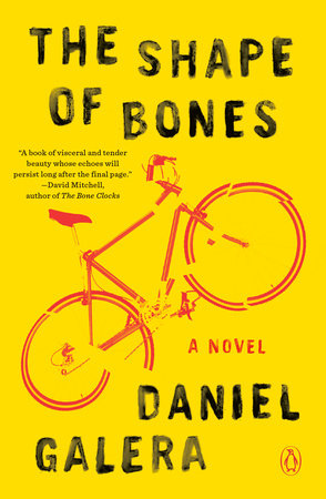 The Shape of Bones by Daniel Galera
