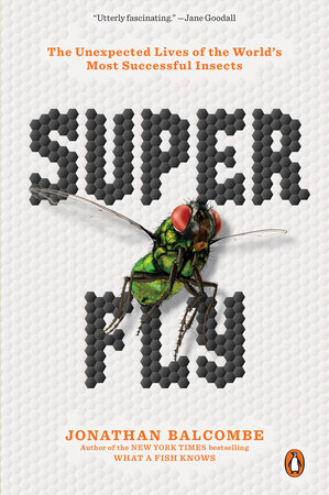 Super Fly by Jonathan Balcombe