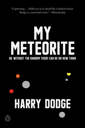 My Meteorite by Harry Dodge