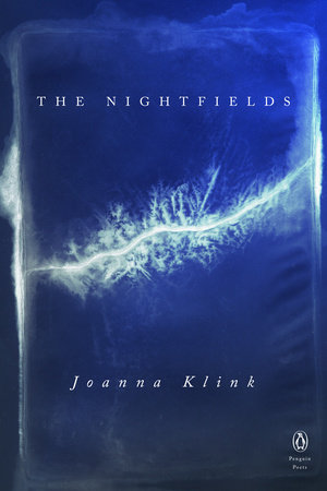 The Nightfields by Joanna Klink