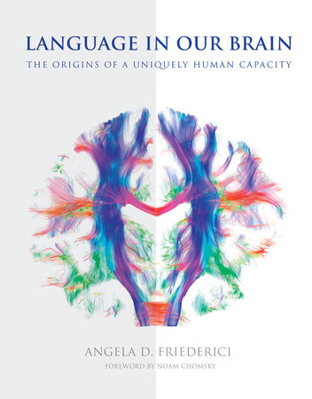 Language in Our Brain by Angela D. Friederici