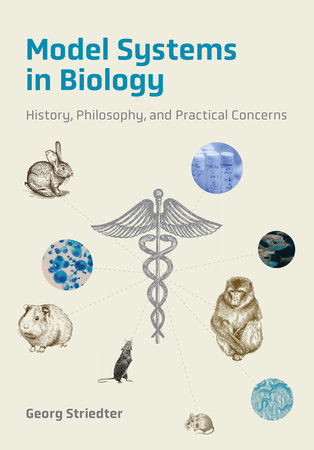 Model Systems in Biology by Georg Striedter