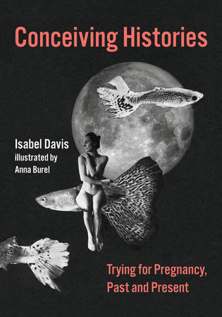 Conceiving Histories by Isabel Davis