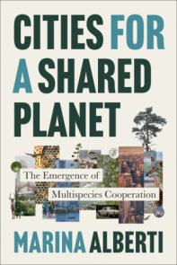 Cities for a Shared Planet