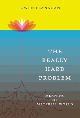 The Really Hard Problem by Owen Flanagan