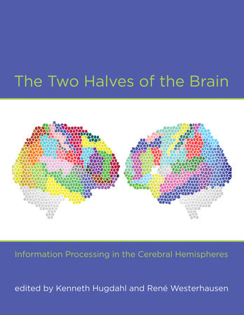 The Two Halves of the Brain by 