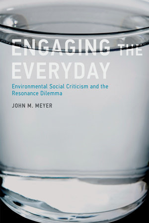 Engaging the Everyday by John M. Meyer