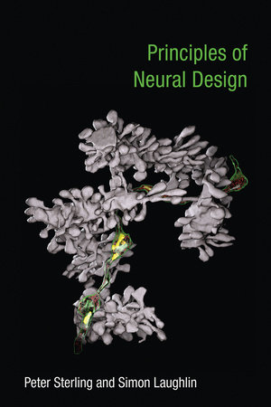 Principles of Neural Design by Peter Sterling and Simon Laughlin