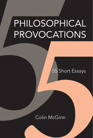 Philosophical Provocations by Colin McGinn