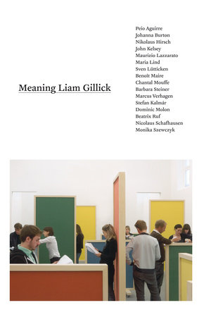 Meaning Liam Gillick by 