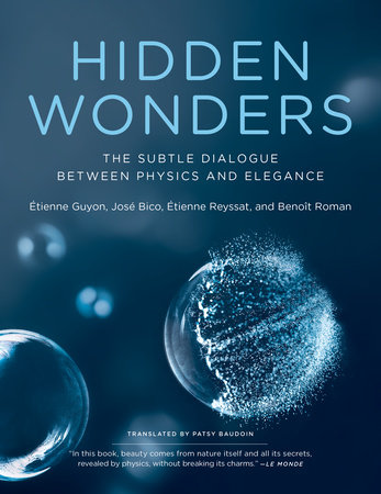 Hidden Wonders by Etienne Guyon, Jose Bico, Etienne Reyssat and Benoit Roman