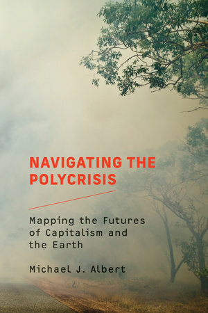 Navigating the Polycrisis by Michael J. Albert