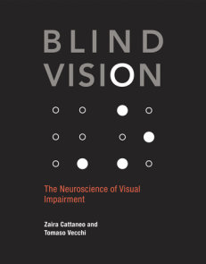 Blind Vision