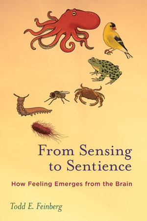 From Sensing to Sentience by Todd E. Feinberg