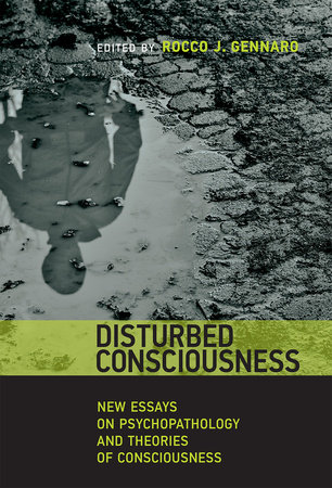 Disturbed Consciousness by 