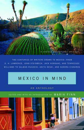 Mexico in Mind by Maria Finn Dominguez