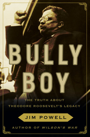 Bully Boy by Jim Powell