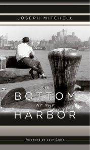 The Bottom of the Harbor