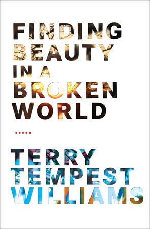 Finding Beauty in a Broken World by Terry Tempest Williams