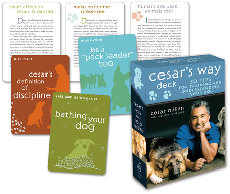 Cesar's Way Deck by Cesar Millan