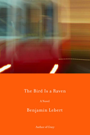 The Bird Is a Raven by Benjamin Lebert