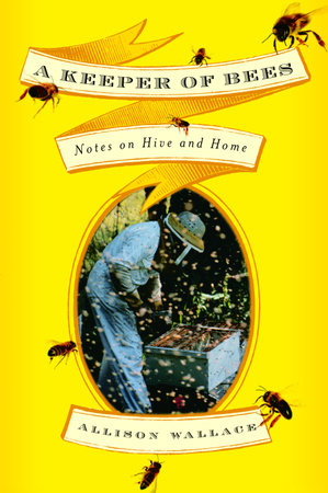 A Keeper of Bees by Allison Wallace
