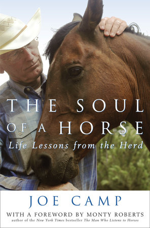 The Soul of a Horse by Joe Camp