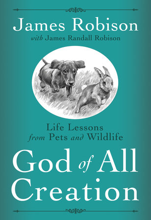 God of All Creation by James Robison