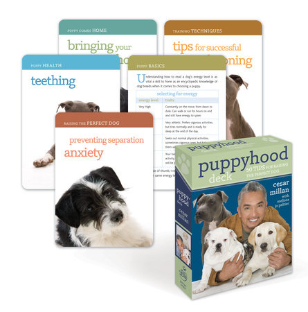 Puppyhood Deck by Cesar Millan