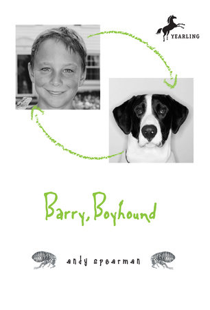 Barry Boyhound by Andy Spearman