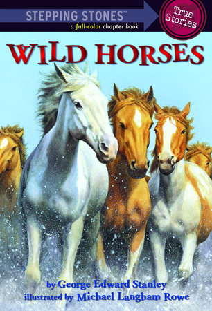 Wild Horses by George Edward Stanley