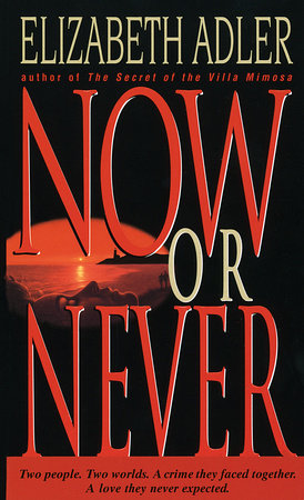 Now or Never by Elizabeth Adler