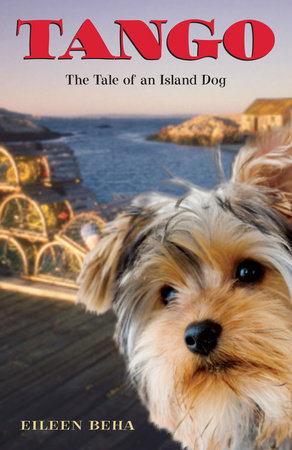 Tango: The Tale of an Island Dog by Eileen Beha