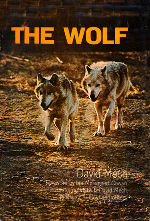 Wolf by L. David Mech