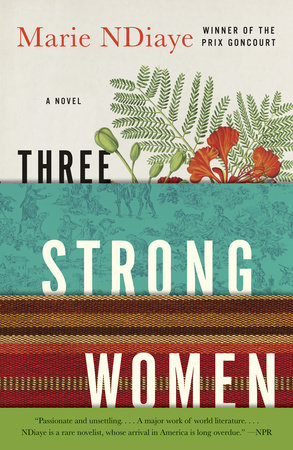 Three Strong Women by Marie NDiaye