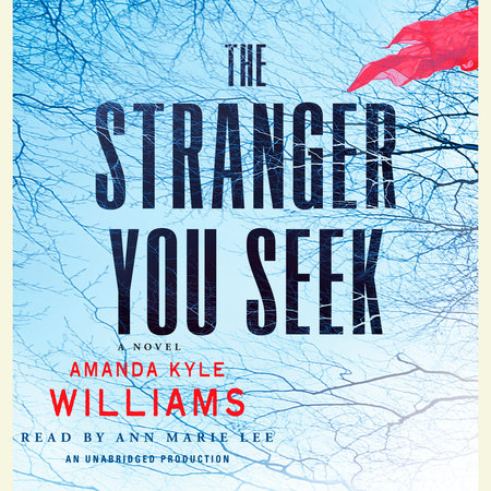 The Stranger You Seek by Amanda Kyle Williams