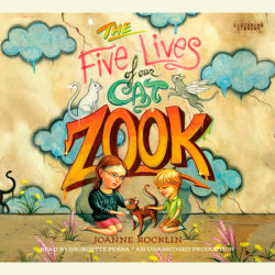 The Five Lives of Our Cat Zook