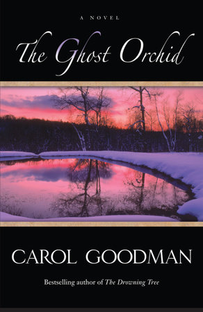 The Ghost Orchid by Carol Goodman