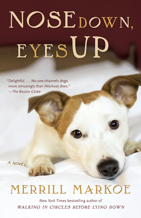 Nose Down, Eyes Up by Merrill Markoe