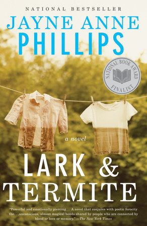 Lark and Termite by Jayne Anne Phillips