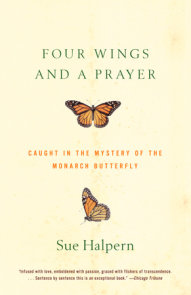 Four Wings and a Prayer